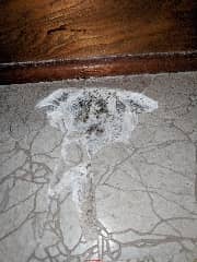 Damaged asbestos suspect floor tile in Ontario Canada (C) InspectApedia.com ValdrezT