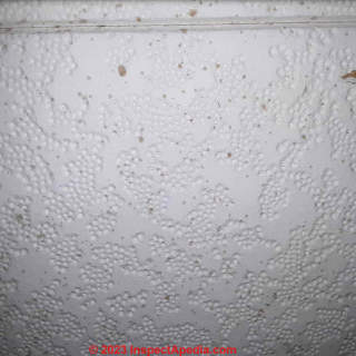 Exxon Chemicals Esteem Ceiling Tiles. Z384 Caballero 34562 E.D. (C) InspectApedia.com RindalNicole