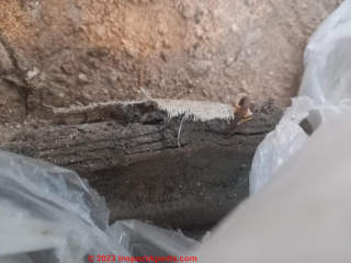 Felt insulation on heating pipes - not asbestos (C) InspectApedia.com Chris