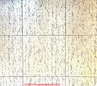 granite patterned floor tiles (C) InspectApedia.com DM