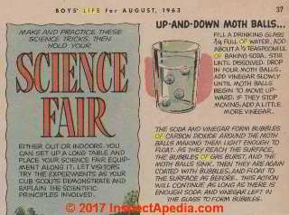 1963 Science Project using mothballs,Boys Life Magazine - edited - at InspectApedia.com 