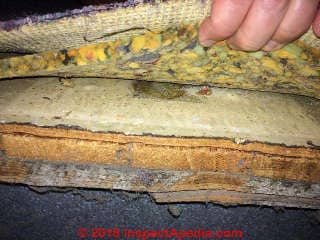 Sheet flooring under carpet may contain asbestos (C) InspectApdia.com Tim R