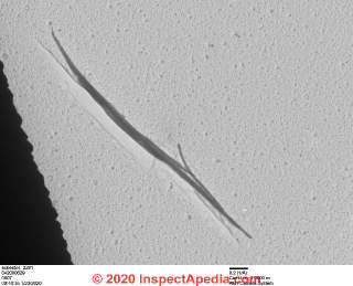 TEM microscope image of Libby Amphibole asbestos in a sample of Zonolite Vermiculte (C) InspectApedia.com Daniel Friedman EMSL