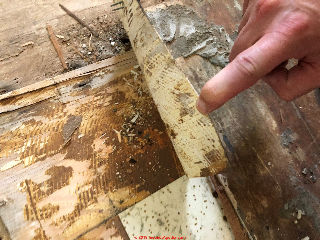 Asbesots suspect floor tile in a 1967 home Buffalo NY (C) InspectApedia.com Domagala