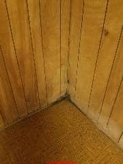 Asbestos wood tone floor tiles 1977 (C) InspectApedia.com Sharon R