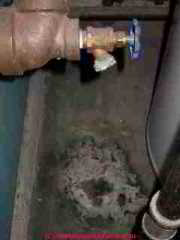 Leak at a boiler drain (C) Daniel Friedman