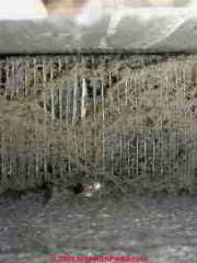 Dirt dust clogged heating baseboard © D Friedman at InspectApedia.com 