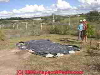 Cesspool for blackwater at a passive solar home (C) Daniel Friedman