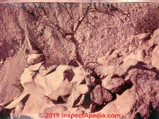Rock cairn to mark my possible death spot on Mt. Ranier in 1966 (C) Daniel Friedman at InspectApedia.com