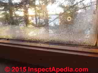 Interior condensation on an insulated glass window in the Green Cabin (C) Daniel Friedman