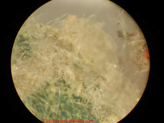 Examine & identify cellulose insulation by forensic microscopy (C) Daniel Friedman at InspectApedia.com