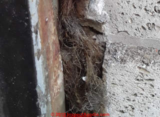 Fibrous insulation, probably cellulose (C) InspectApedia.com Toadvine D