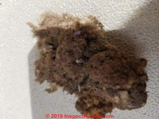 Cellulose or balsam wool like insulation unidentified (C) InspectApedia.com Steve Reed