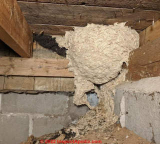 Hornets nest over black insulation in crawl space (C) InspectApedia.com Brian