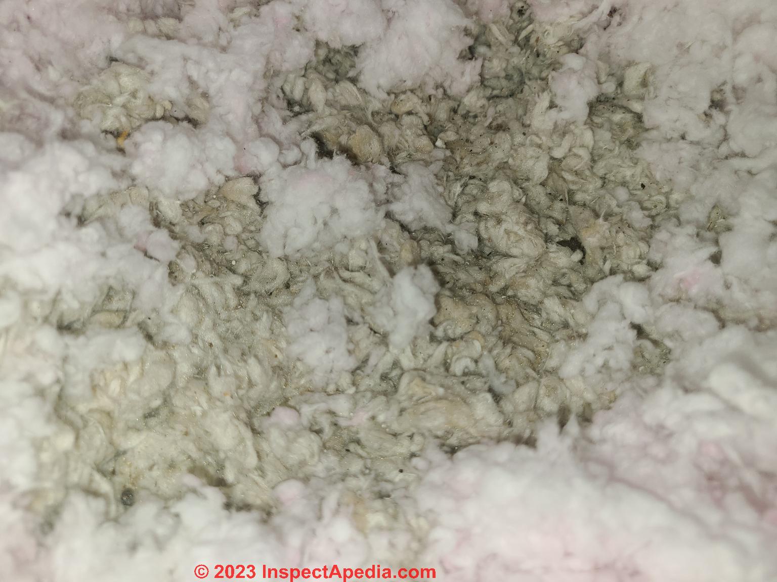 Some old blown in Rockwool insulation. Also known a stone wool or mineral  wool. Introduced in 1909, it is made from natural stone and steel slag.  Still used today for its superior