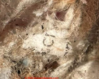 Visual Identification of Rock Wool, Stone Wool, Mineral Wool, & Slag ...