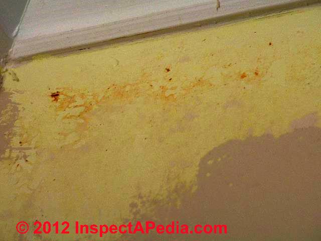 Indoor Stain Diagnosis Human Causes