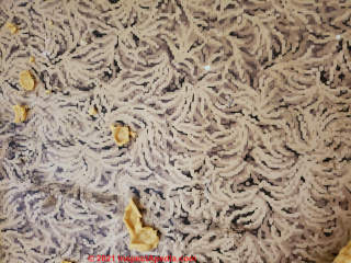 Gray shag pattern linoleum floor asbestos test results (C) InspectApedia.com Jill