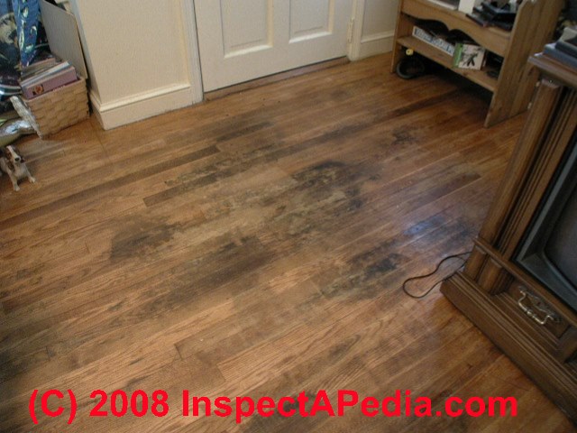 How do you remove black urine stains from hardwood floors Pet Stains Marks In Buildings A Diagnostic Guide To Identifying Removing Animal Stains