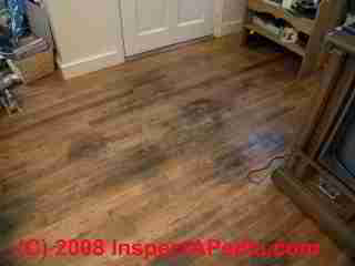 Dog urine stains on wood floor (C) Daniel Friedman at InspectApedia.com