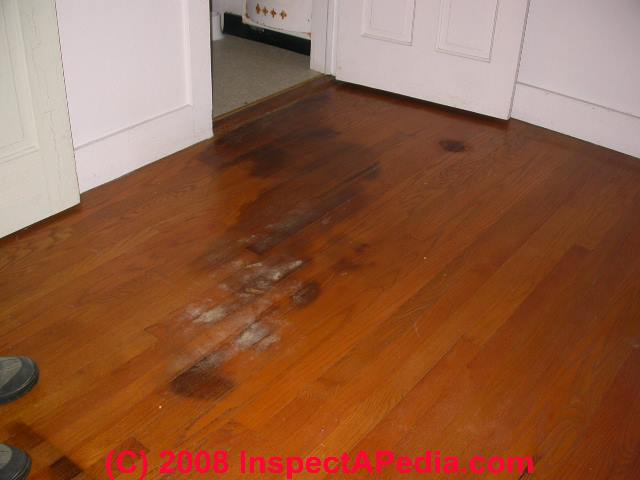 Wood Floor Types Damage Diagnosis Repair Damaged Wood Floors