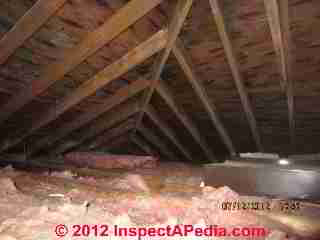 Penicillium mold in an attic