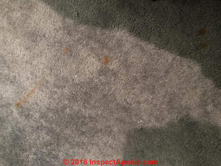 Stains on carpeting can often be diagnosed - at Inspectapedia.com (C) Daniel Friedman at InspectApedia.com 