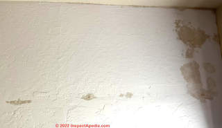 Ceiling stains (C) InspectApedia.com Yan