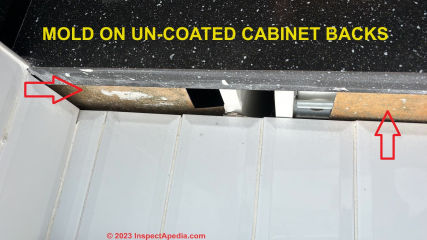 Mold on un-coated surfaces of cabinet backs - remove cabinets to clean and then seal (C) Inspectapedia.com Wolfe