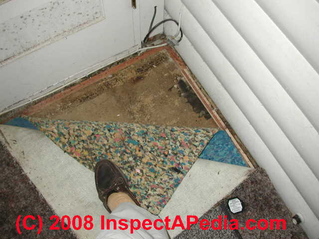 Carpet Padding Guide to Asbestos, Mold, Odor Problems, Solutions