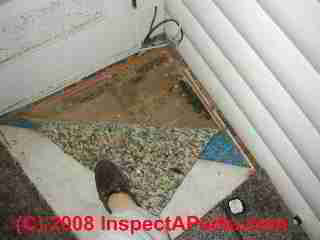 Dog urine hotsell on subfloor