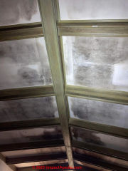metal roof with mold growth inside home on ceiling (C) InspectApedia.com Joe