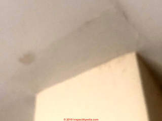 Rectangular black stains on ceiling (C) InspectApedia.com Dee