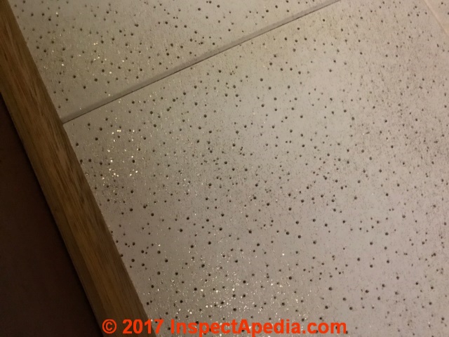Asbestos ceiling tiles