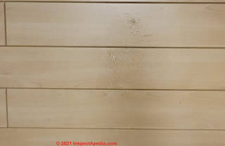 Clear oozing blister stains on ceiling paneling (C) InspectApedia.com MMurphy