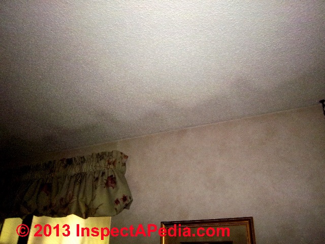 Dark Ceiling Stains How To Recognize Diagnose Thermal Tracking