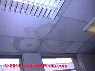 Suspended ceiling with leak stains © Daniel Friedman