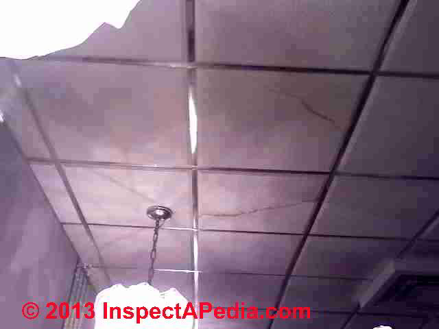 Suspended Ceilings Install Diagnose Repair Insulate R
