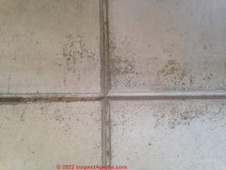 Concrete stain (C) Inspectapedia Marc
