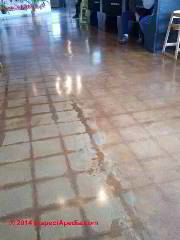 Concrete floor with stains where asphalt asbestos or vinyl asbestos floor tiles and their adhesive mastic were removed (C) InspectApedia