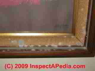 Condensation caused mold on window (C) Daniel Friedman