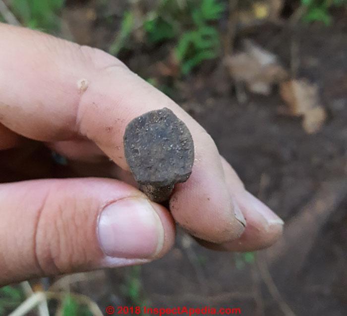 Cut spike identification (C) InspectApedia.com Chris