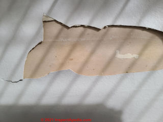 Flaking peeling coating on drywall surface (C) InspectApedia.com Kathy