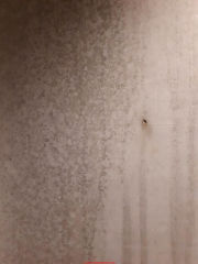 Dark blotchy mottled stains on smooth indoor concrete wall (C) InspectApedia.com Janice