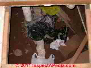 Dryer vent spilling into wet crawl space © D Friedman at InspectApedia.com 