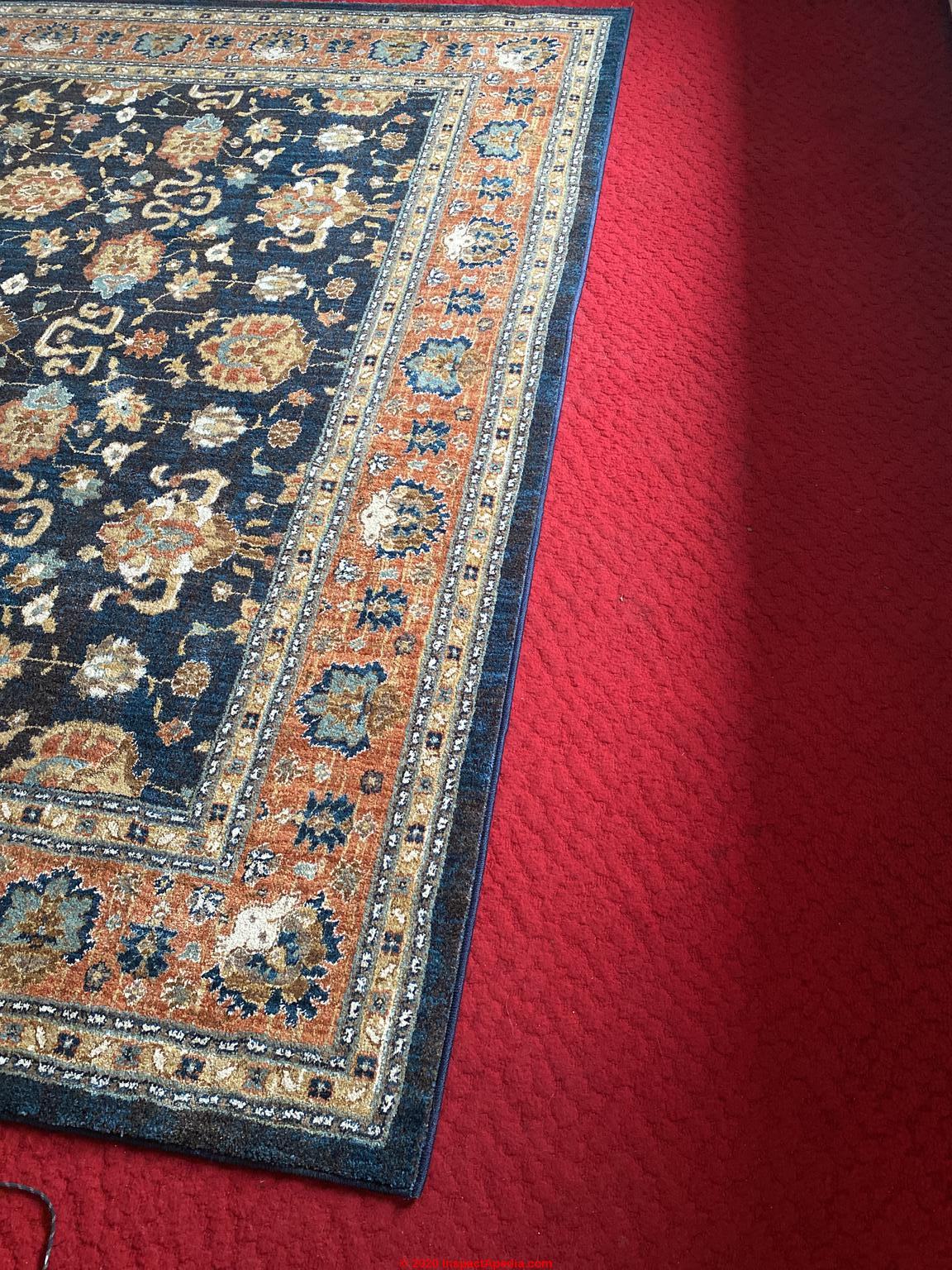 Carpet Stain Diagnostic Faqs