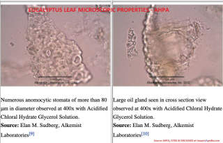 Eucalyptus (leaf) microscopic properties from Sudberg, Alkemist, from AHPA cited & discussed at InspectApedia.com