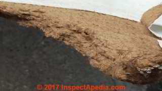 Fiberboard sheathing panels used on a ceiling in the Solomon Islands might be caneboard or another fiberboard cellulose product (C) InspectApedia