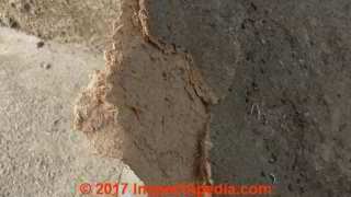 Fiberboard sheathing panels used on a ceiling in the Solomon Islands might be caneboard or another fiberboard cellulose product (C) InspectApedia