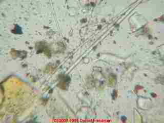 Photograph of dirty fiberglass insulation fibers - higher risk of mold contamination